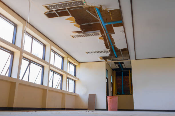 Best Water damage restoration near me  in Calverton Park, MO