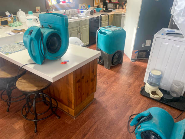 Best Carpet water damage restoration  in Calverton Park, MO