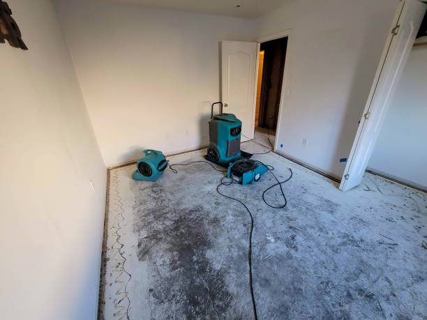 Best Local water damage restoration  in Calverton Park, MO