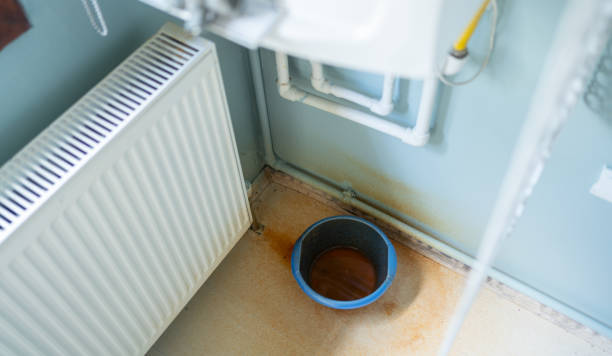 Best Water damage mitigation services  in Calverton Park, MO