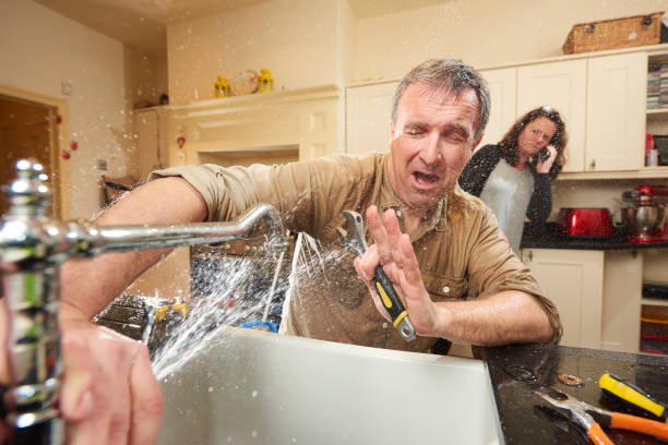 Best Professional water damage repair  in Calverton Park, MO